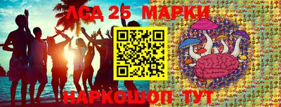 гидропоника Владивосток